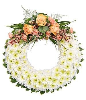 White chrysanthemum funeral wreath with peachy-pink rose, genista, and spray rose focal, customizable in various colours.