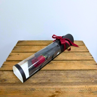 Luxury single red rose displayed in a black presentation tube with a clear window, red ribbon bow and diamante centre detail.